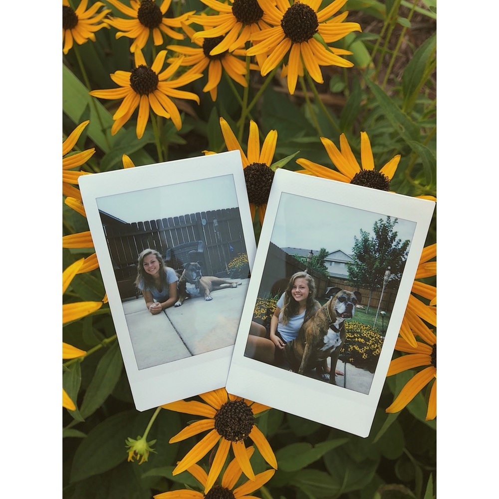 Meet your Posher, Kylee